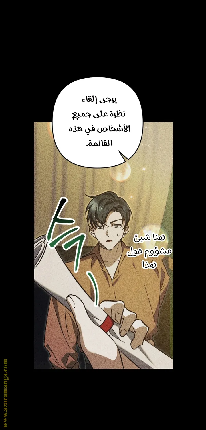 الصفحة 25