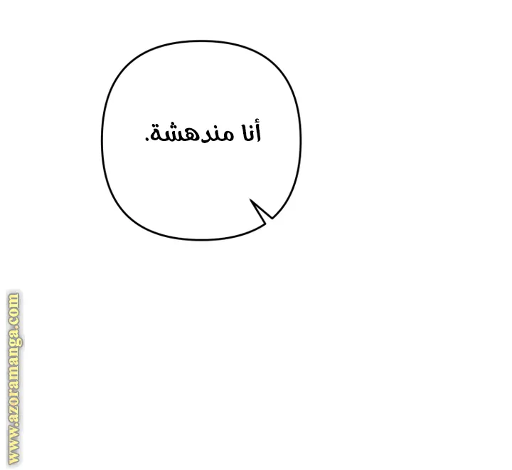 الصفحة 31