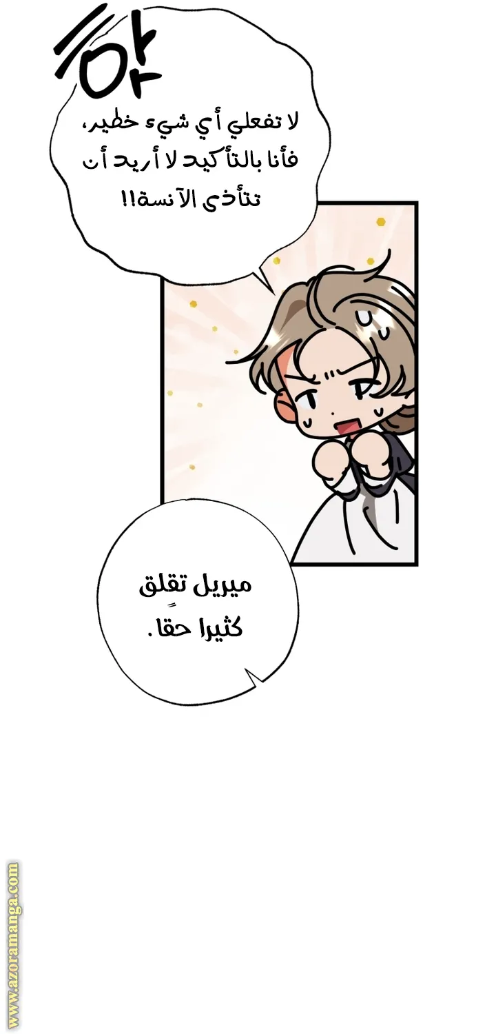 الصفحة 39