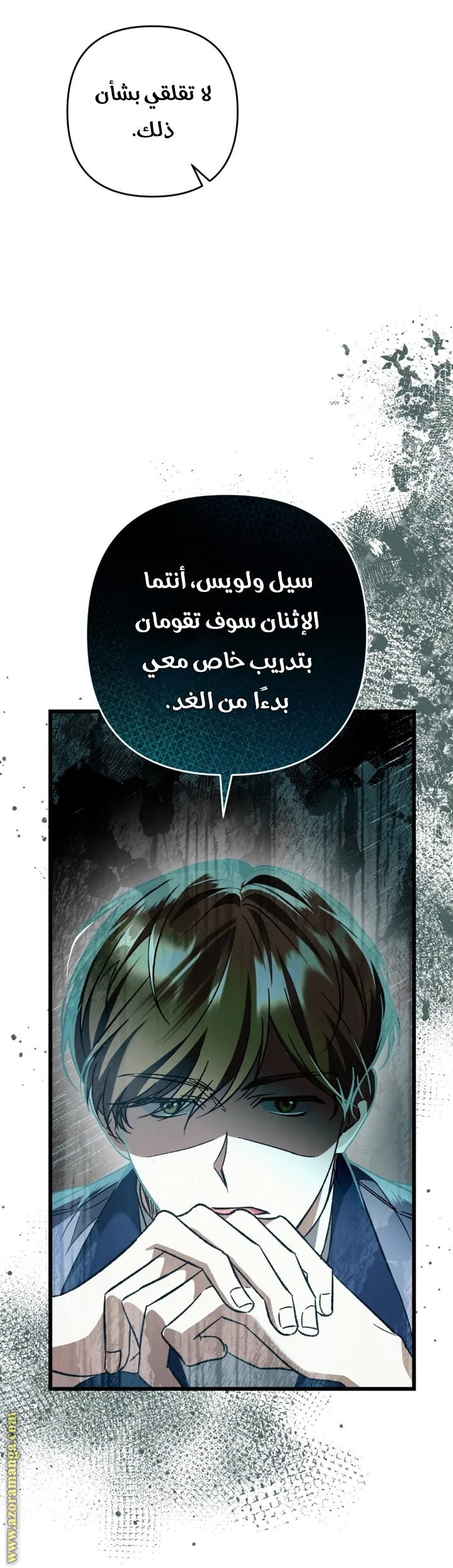 الصفحة 43