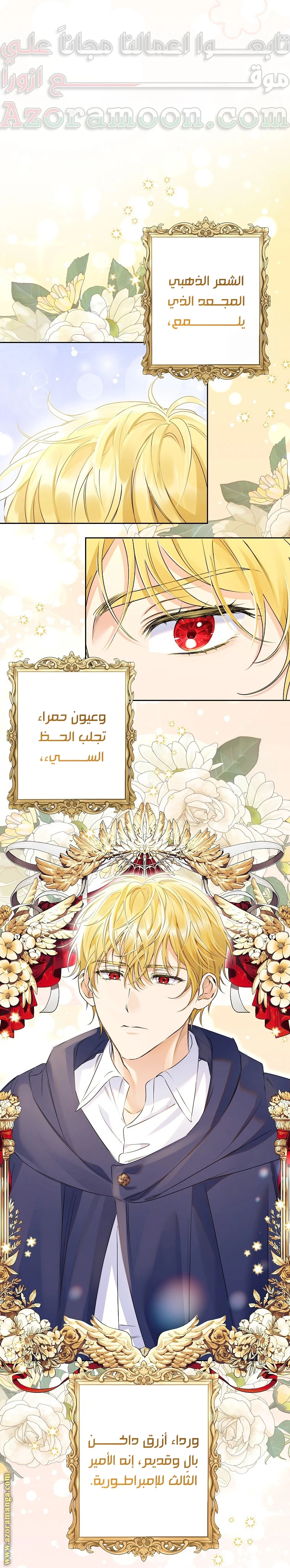 الصفحة 16