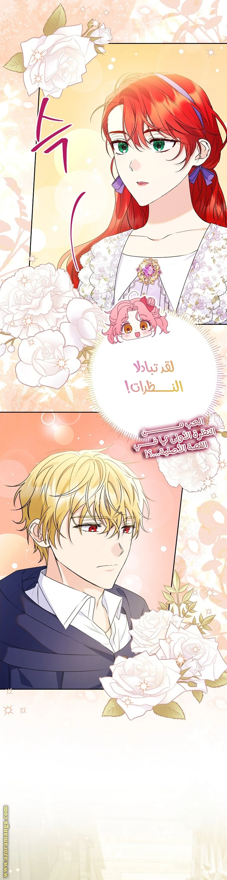 الصفحة 21