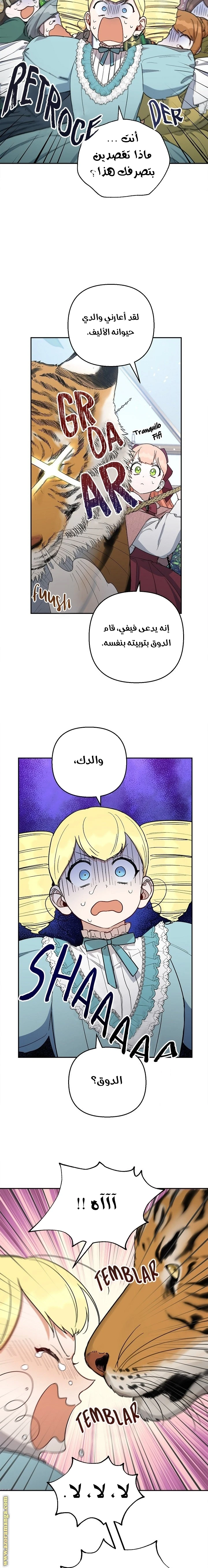 الصفحة 13