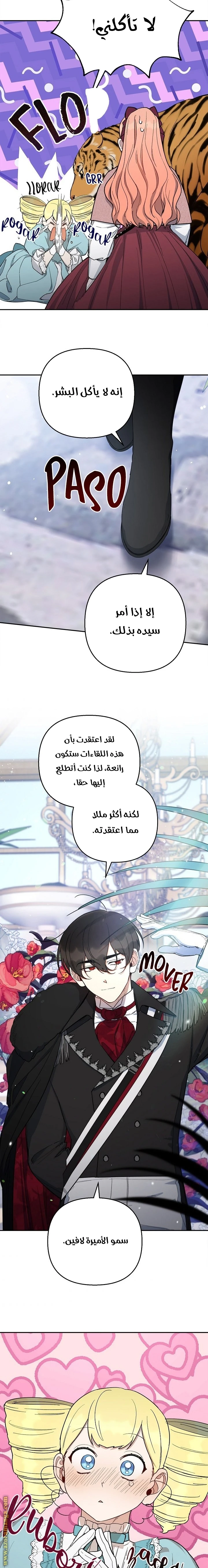 الصفحة 14