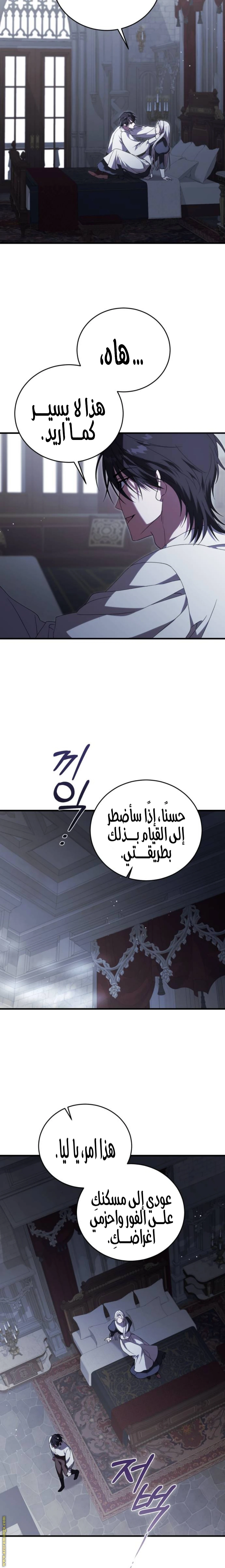 الصفحة 13