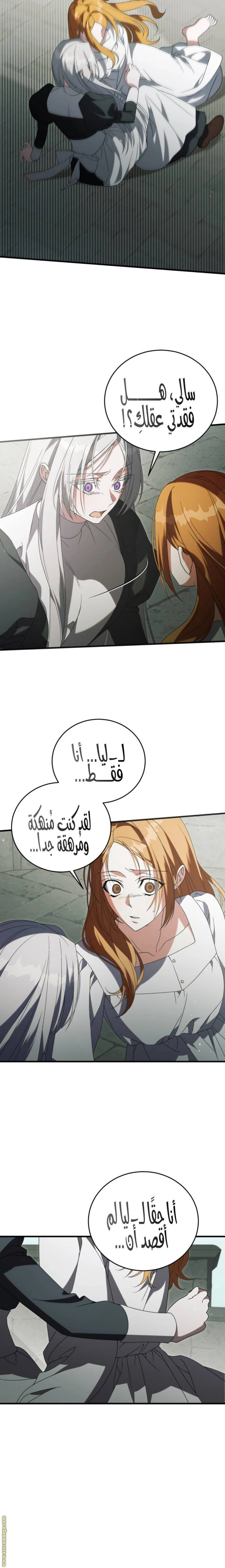 الصفحة 26
