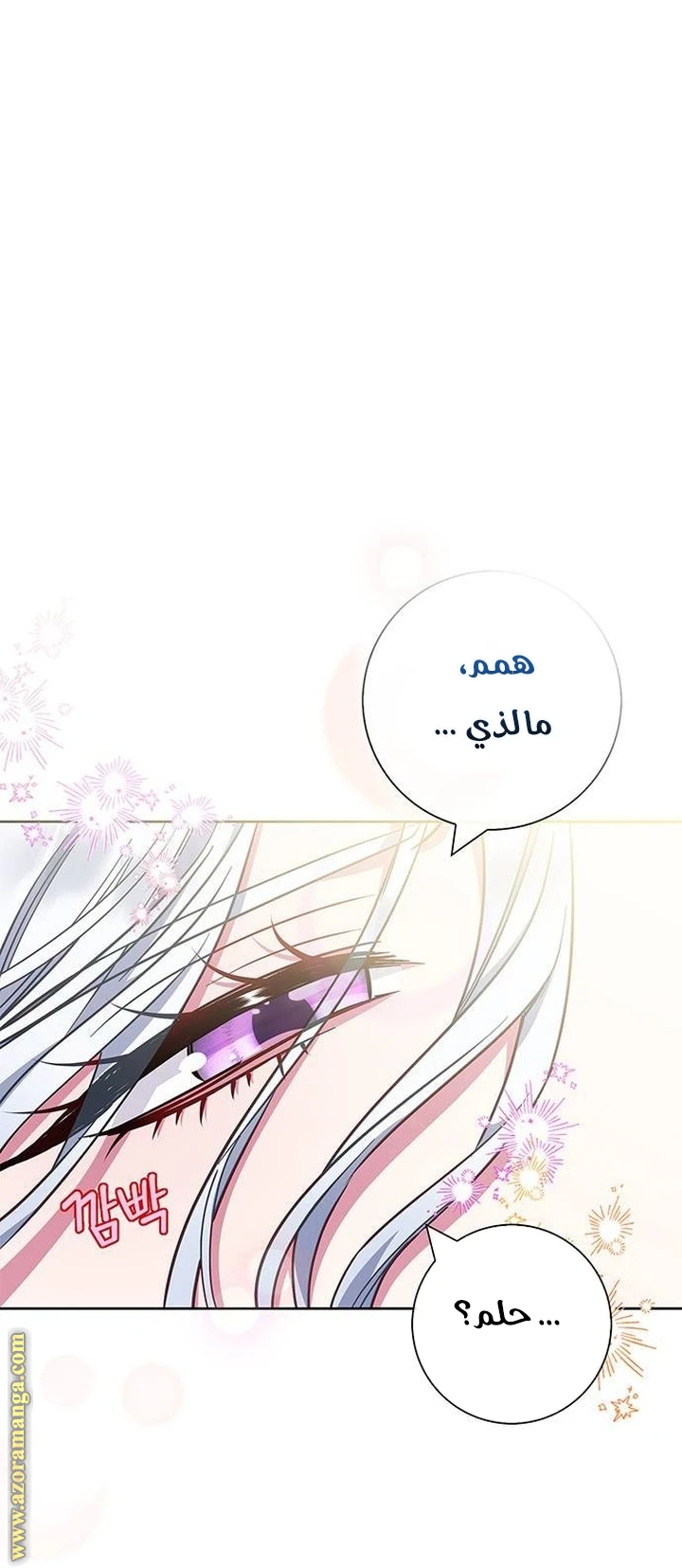 الصفحة 42