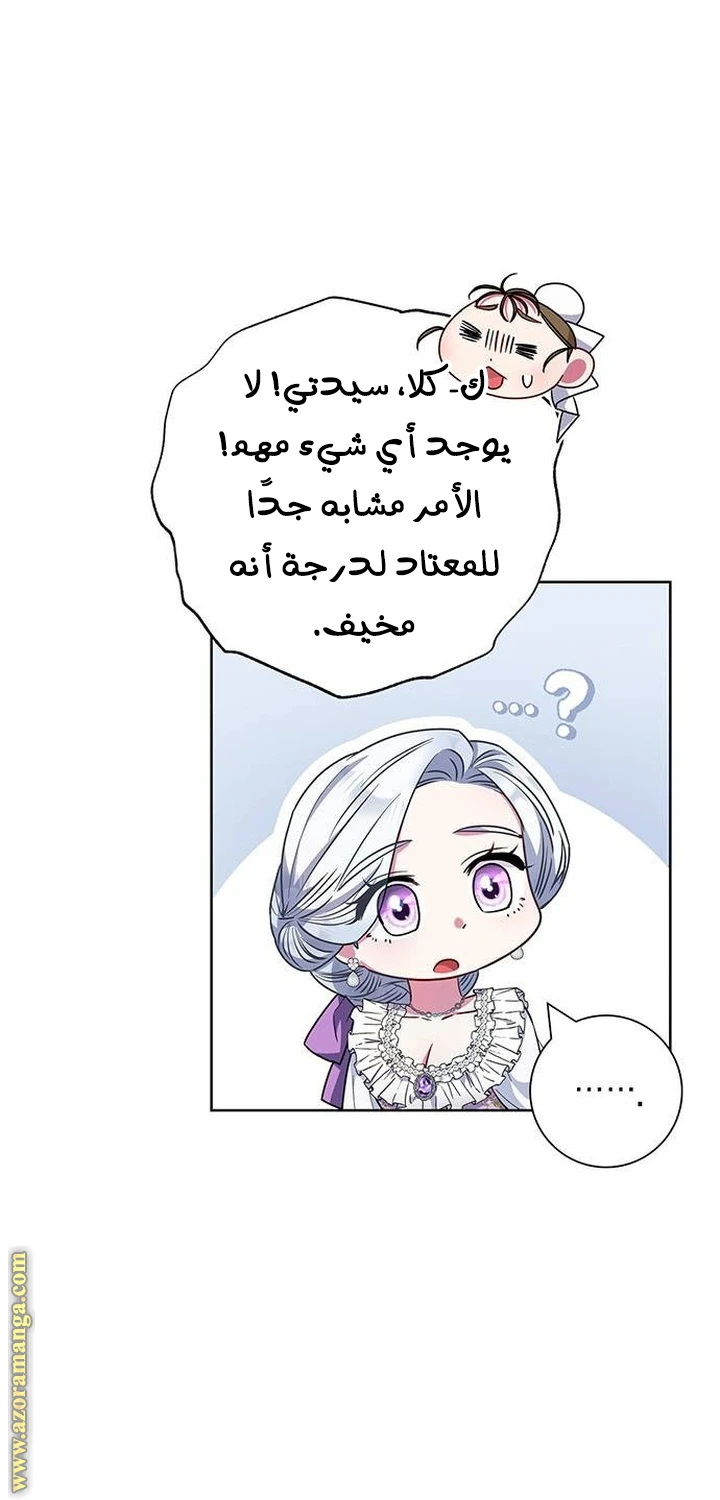الصفحة 48