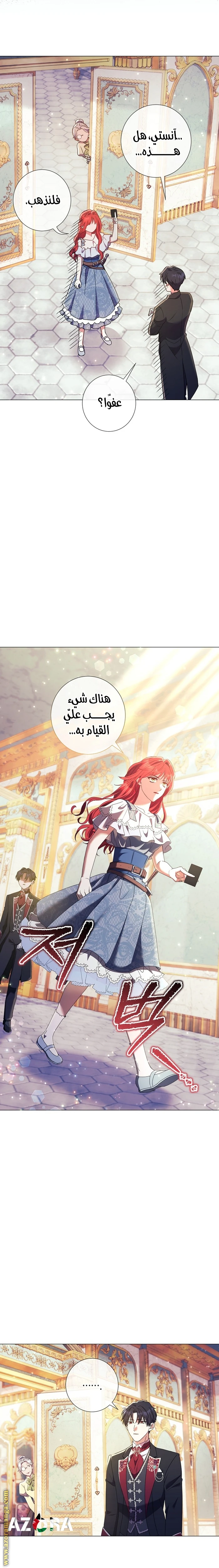 الصفحة 17