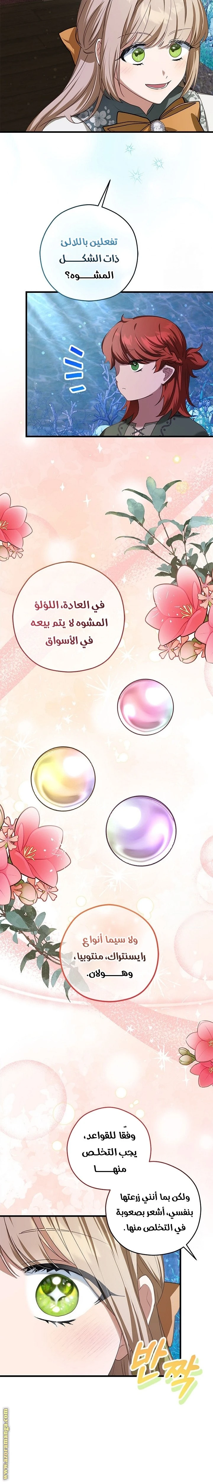 الصفحة 16