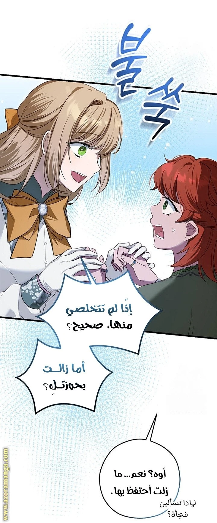 الصفحة 17