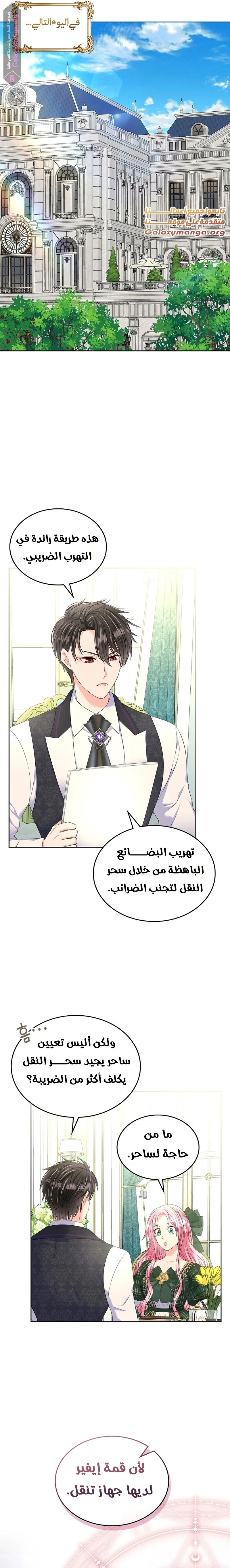 الصفحة 17