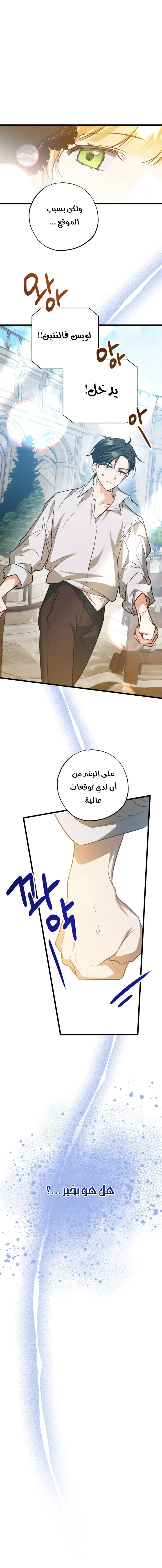 الصفحة 13