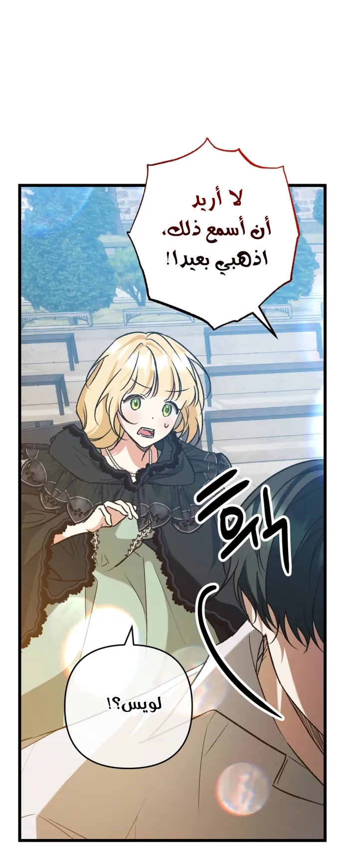 الصفحة 28