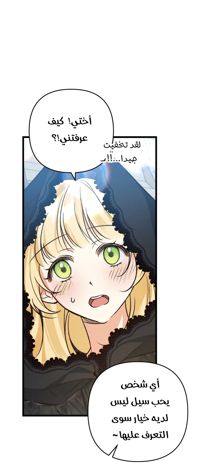 الصفحة 33