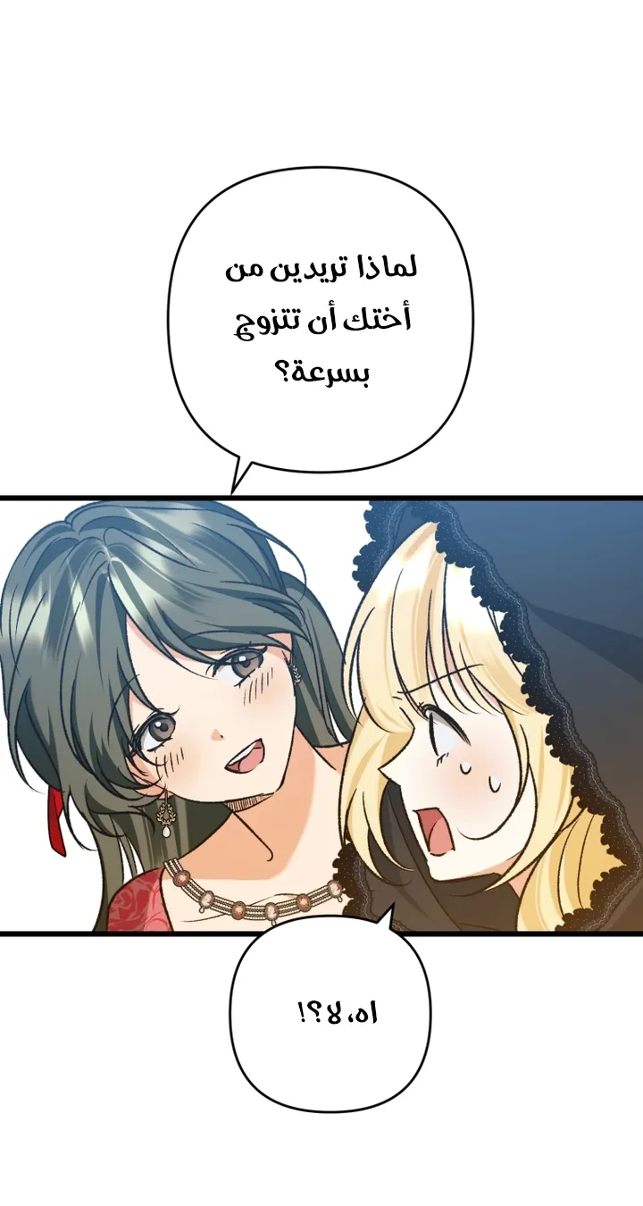 الصفحة 36