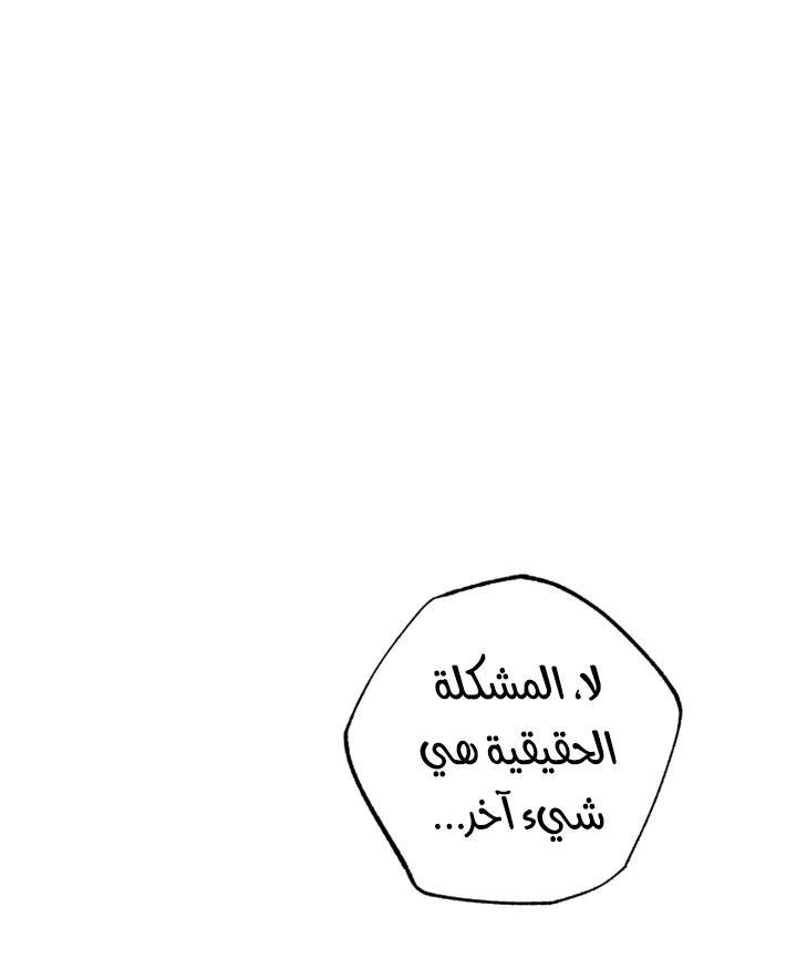 الصفحة 43
