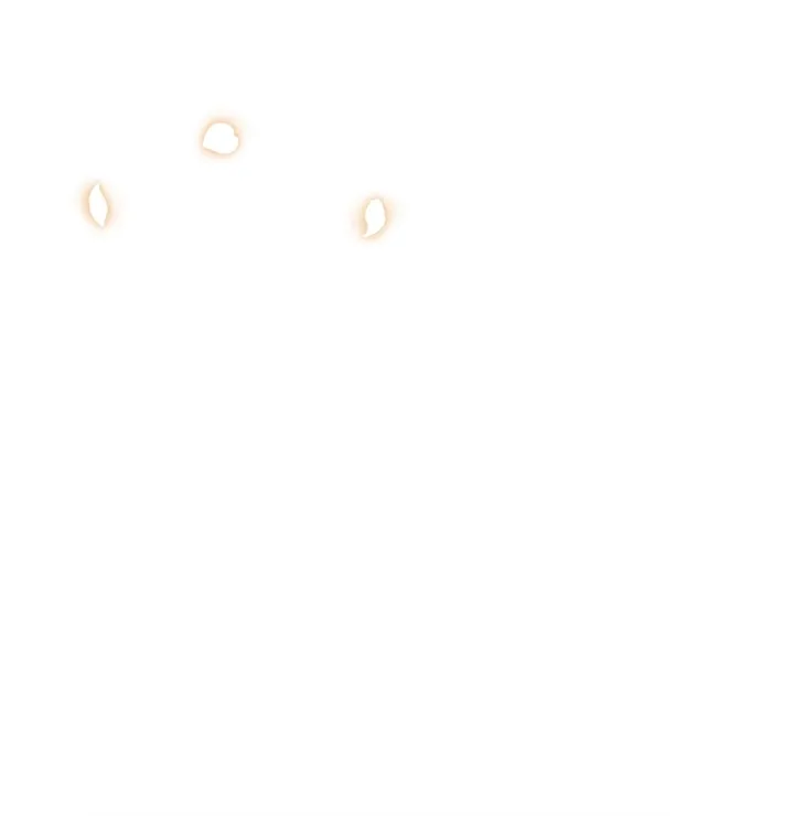الصفحة 54