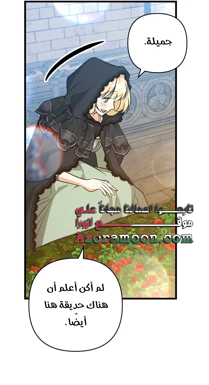 الصفحة 55