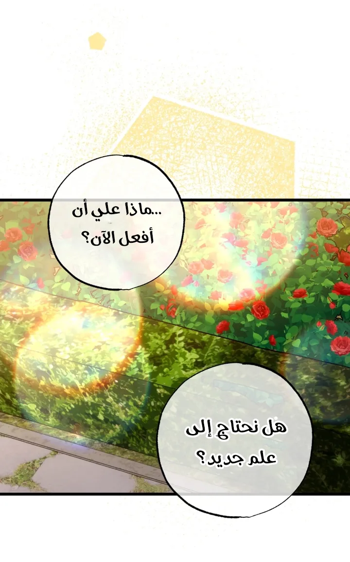الصفحة 56