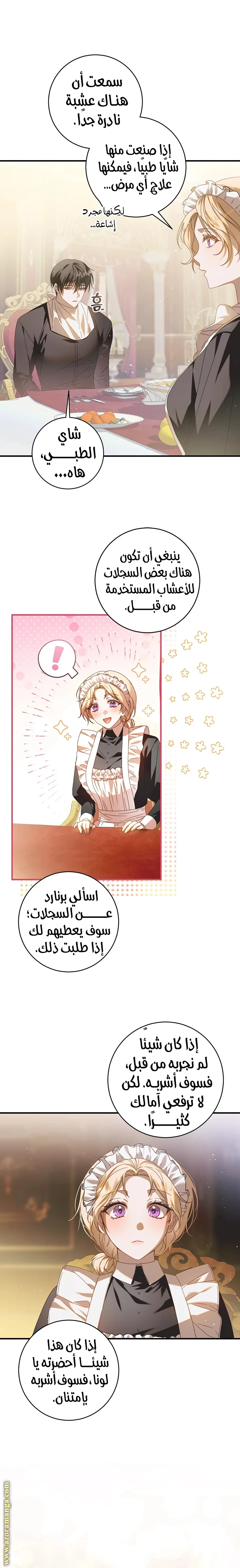 الصفحة 3