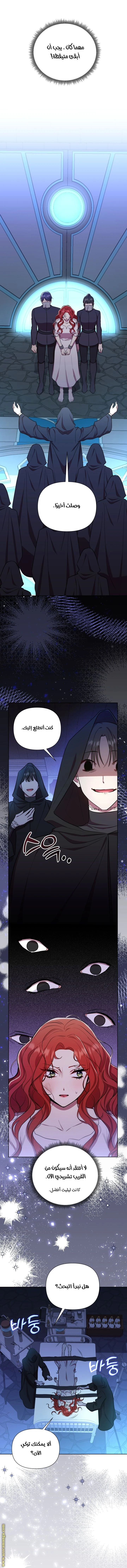 الصفحة 16