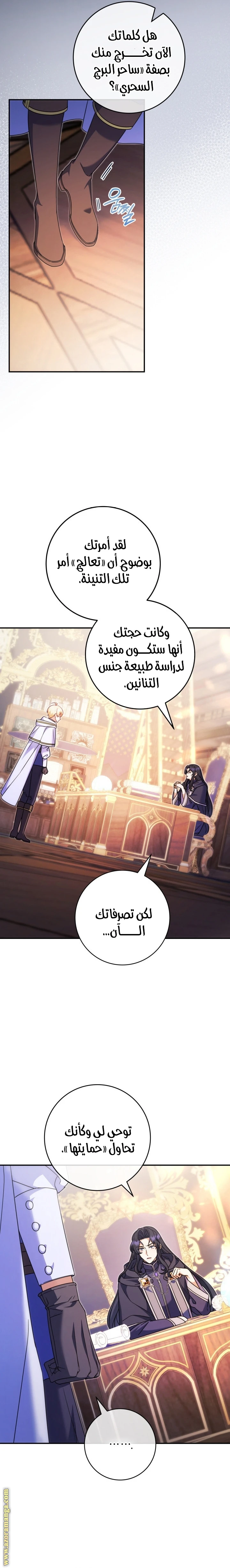 الصفحة 17