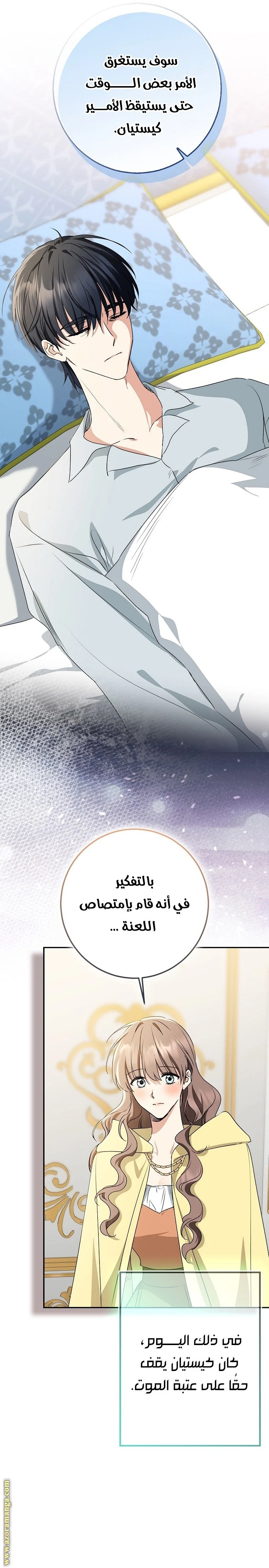 الصفحة 11