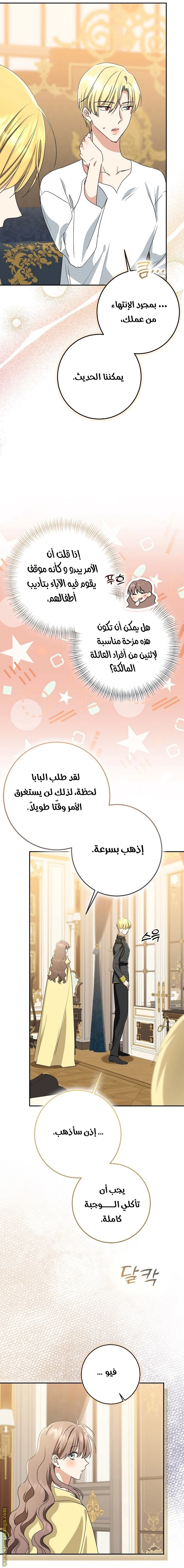 الصفحة 25