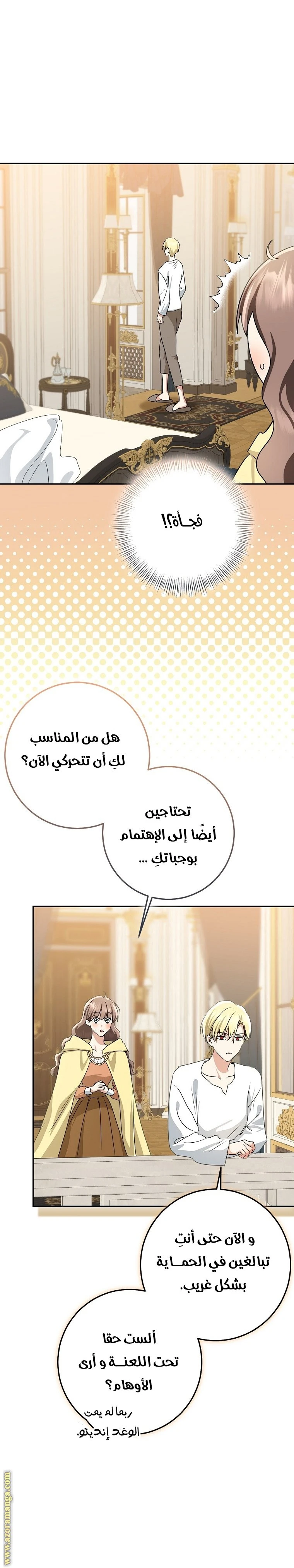 الصفحة 26