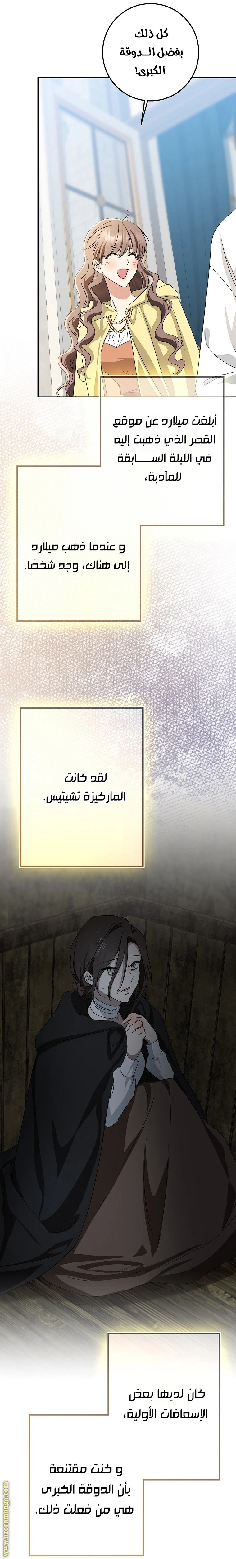 الصفحة 29