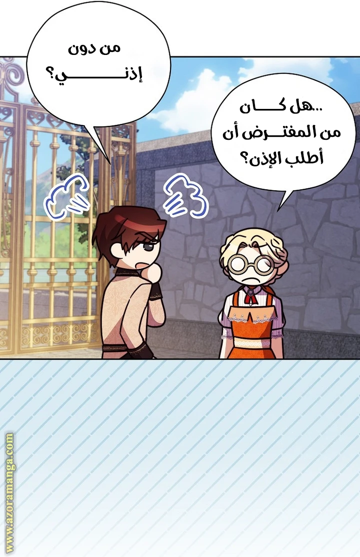 الصفحة 27