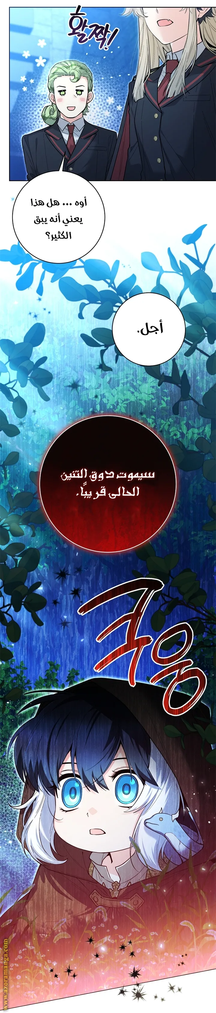 الصفحة 5