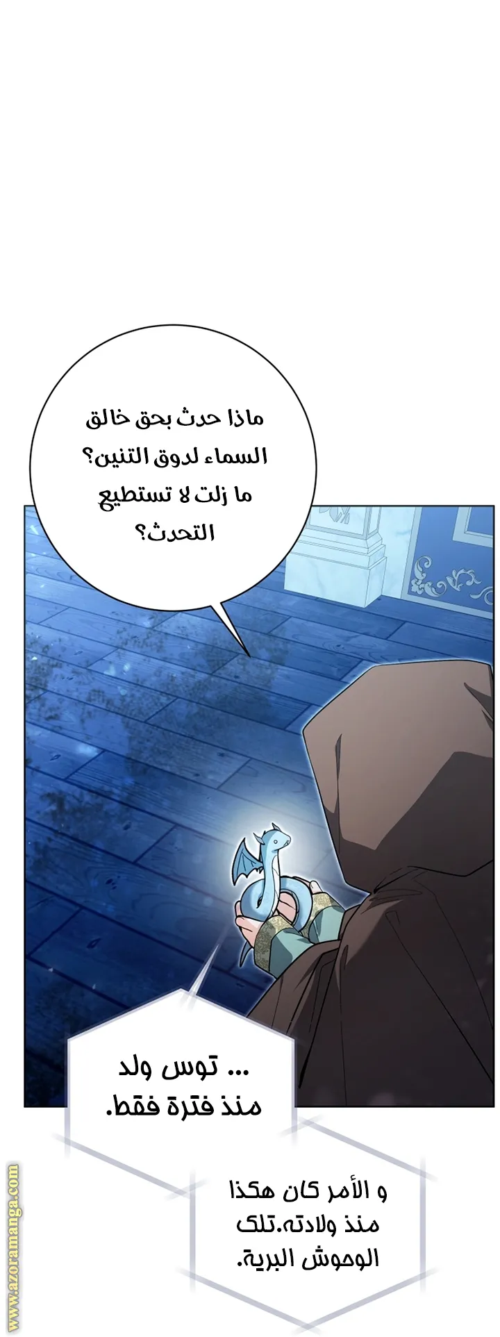 الصفحة 20