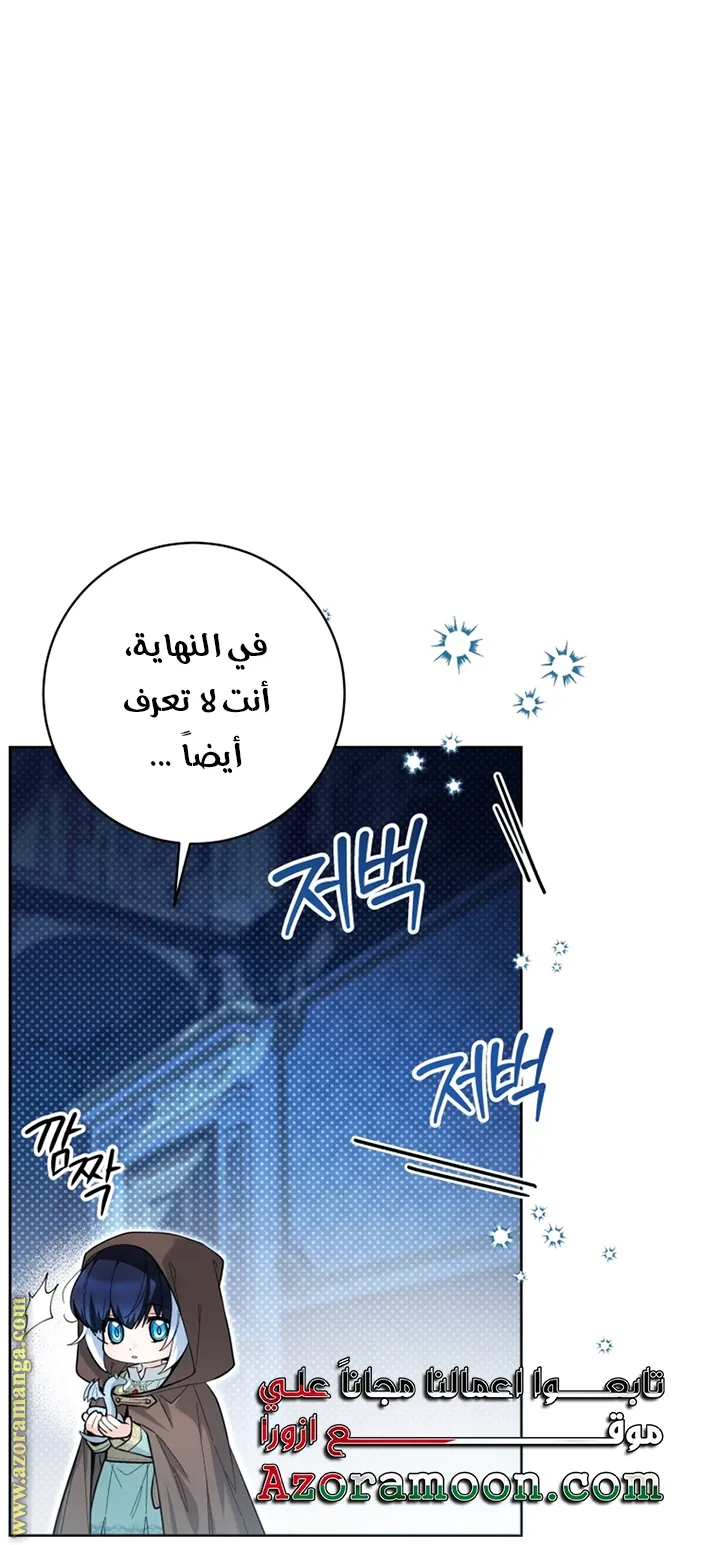 الصفحة 21