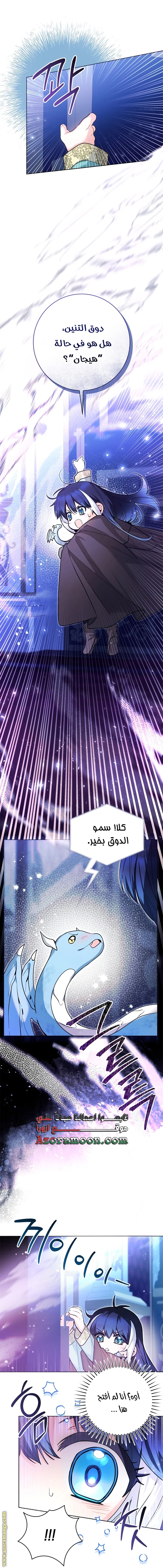 الصفحة 31