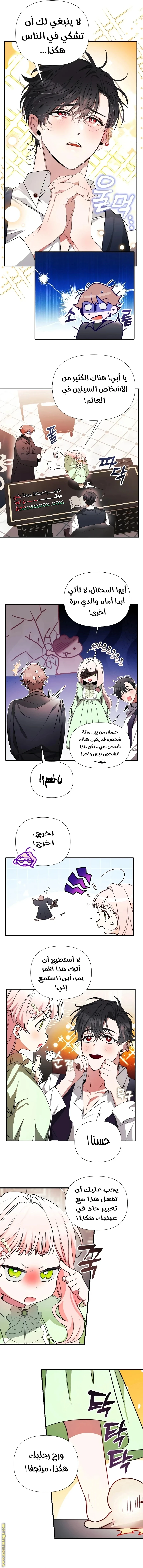 الصفحة 13