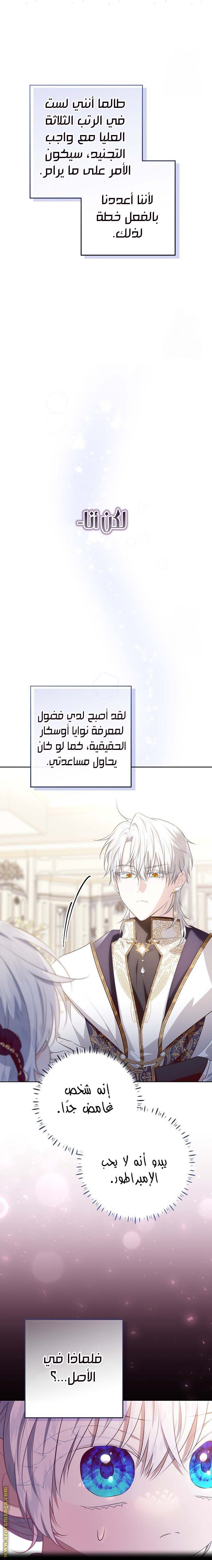 الصفحة 27