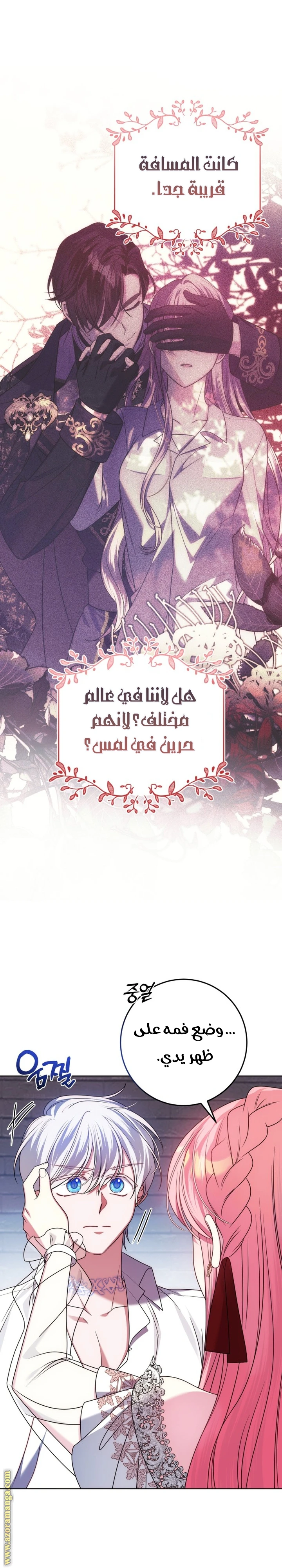 الصفحة 17
