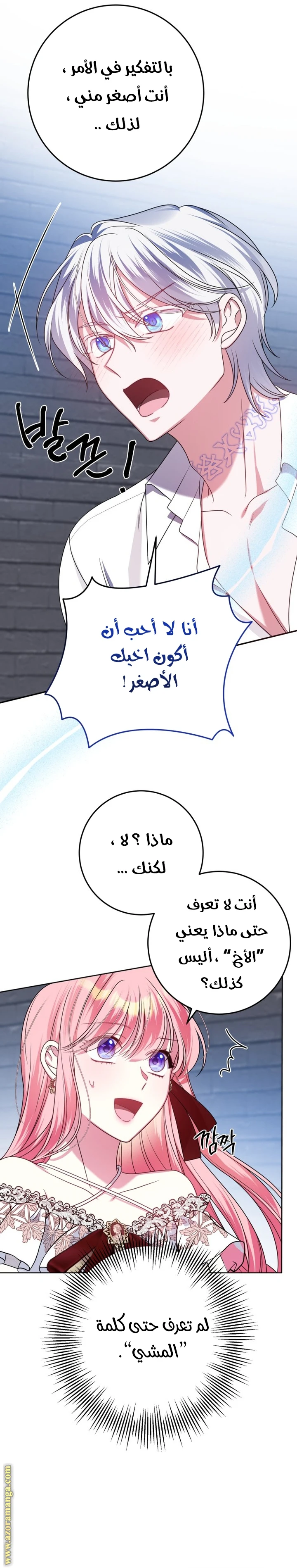 الصفحة 20