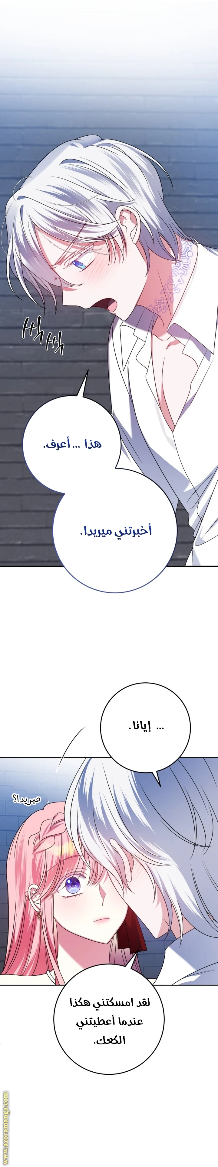 الصفحة 21