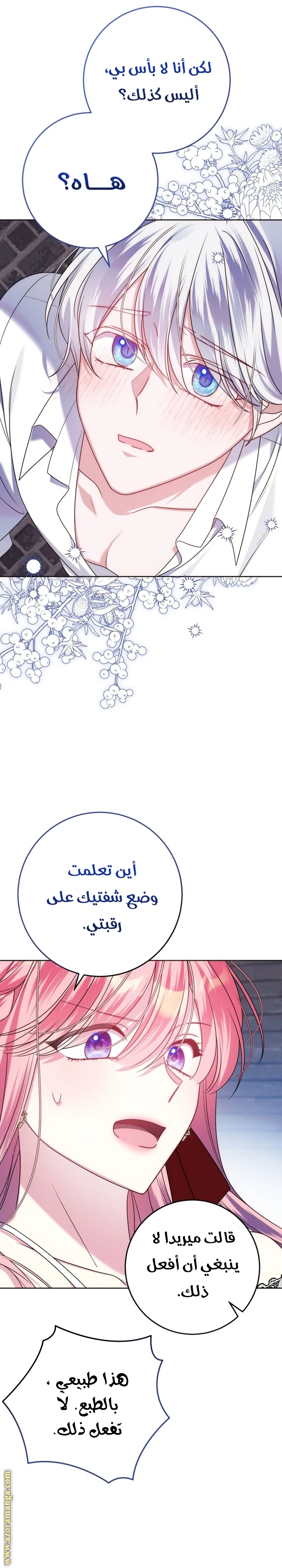 الصفحة 25