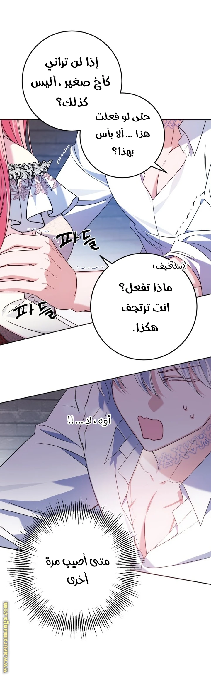 الصفحة 26