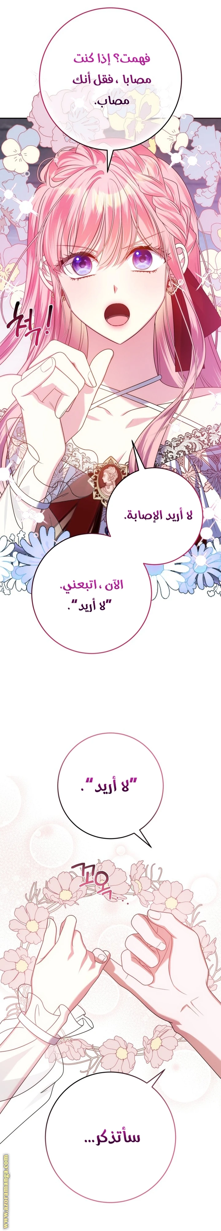 الصفحة 29