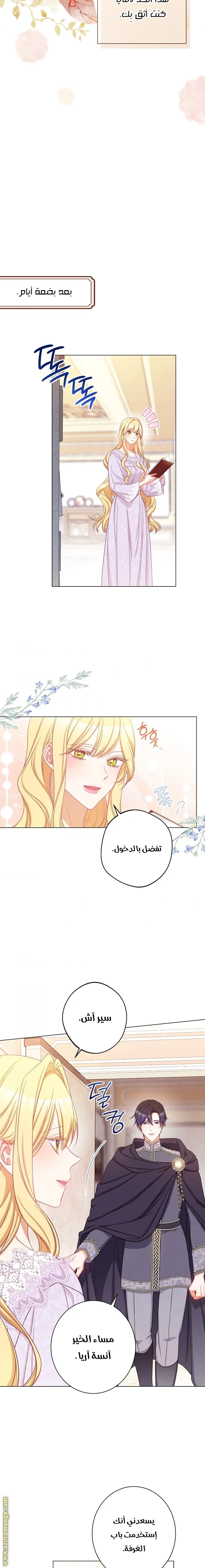 الصفحة 13