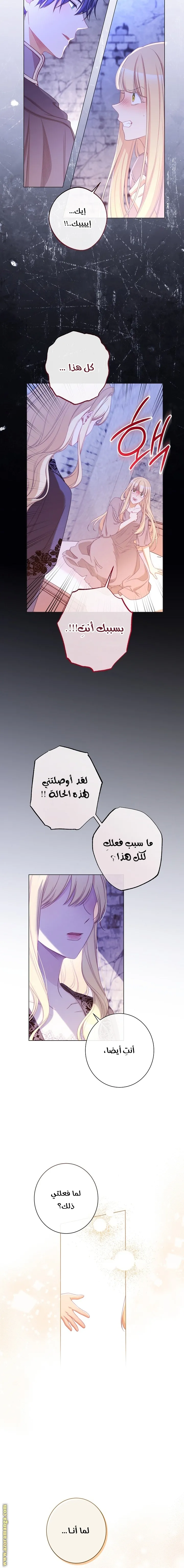 الصفحة 19