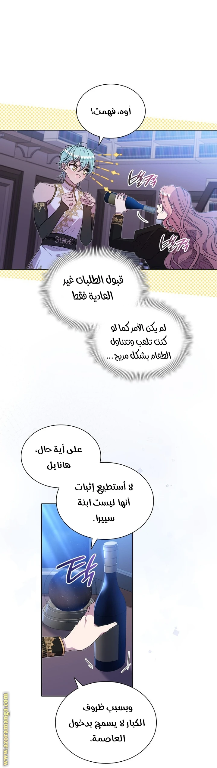 الصفحة 25