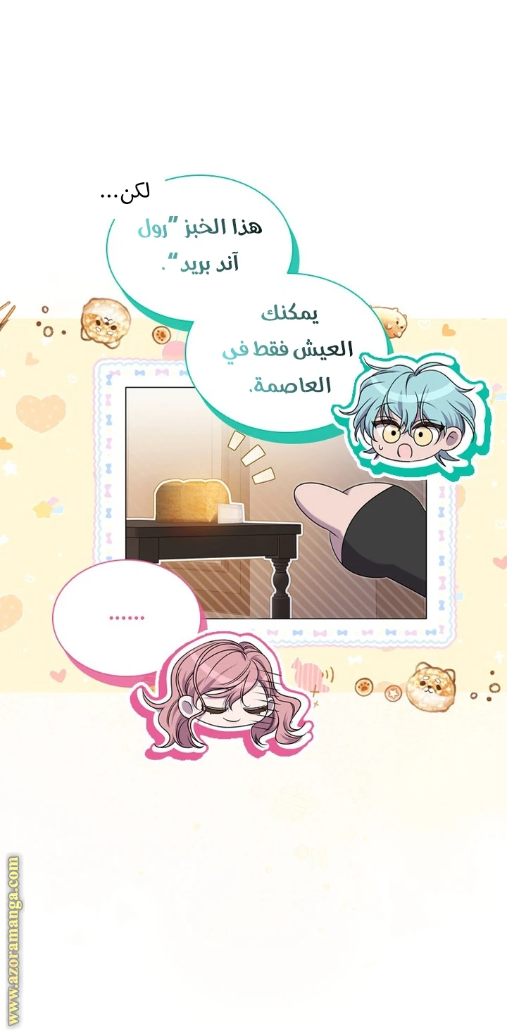 الصفحة 26