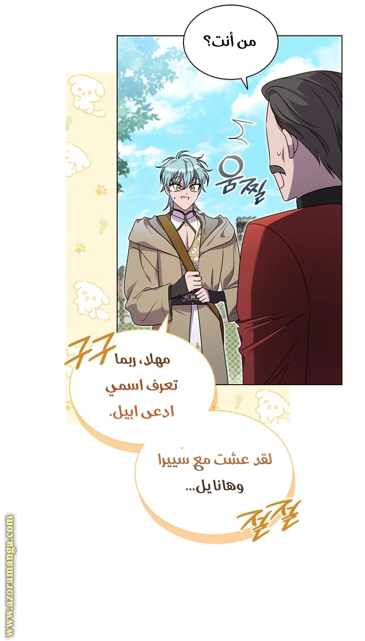 الصفحة 41
