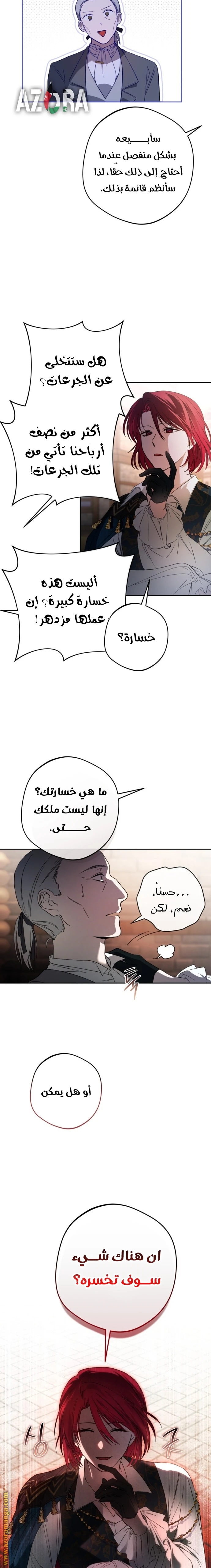 الصفحة 17